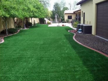 Artificial Pet Grass West Whittier-Los Nietos California Landscape, Lawns artificial grass